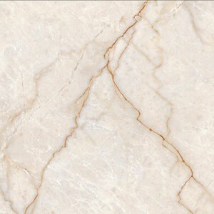 Champagne 3631 glossy 30×60