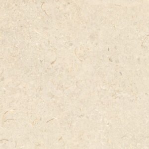 Clam Shell Bone soft matt 60×120