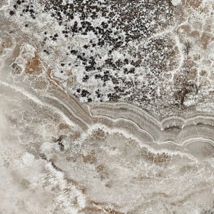 Black Dahlia 12 RM 60×120