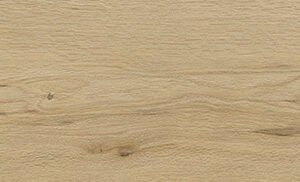 ABELIA HAYA 18,2x120