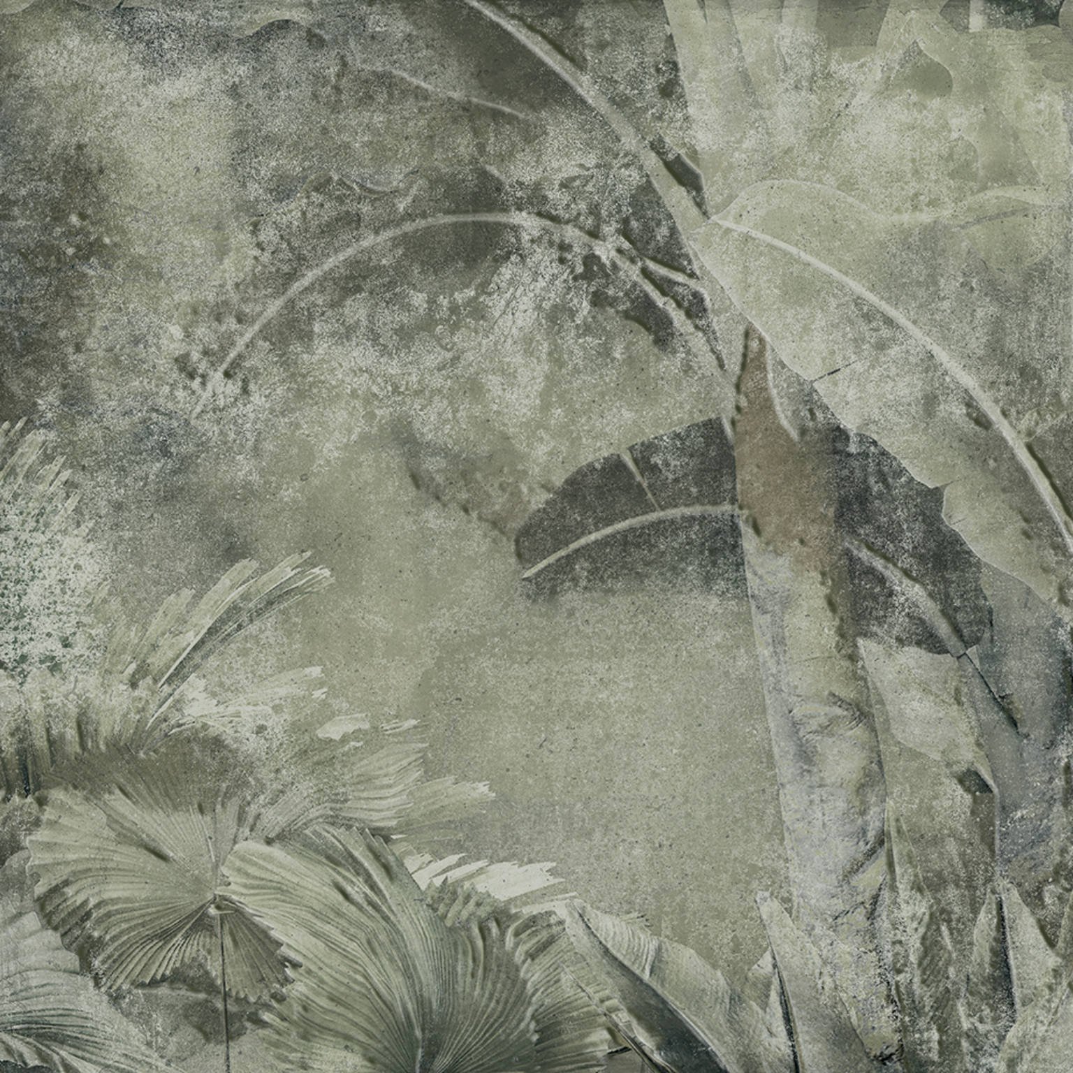 AMAZONIA 25x25 - Slika 5