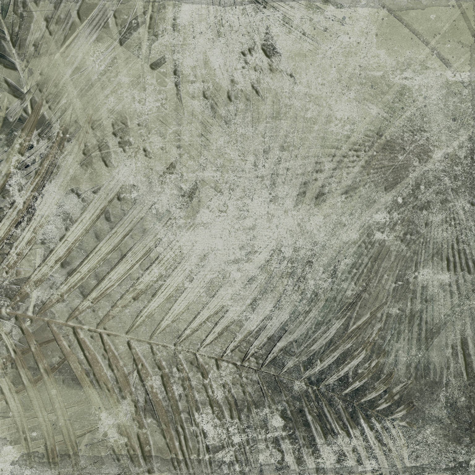 AMAZONIA 25x25 - Slika 4