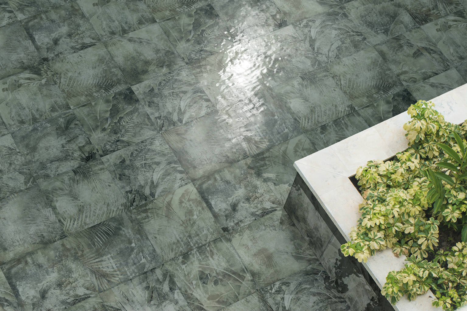 AMAZONIA 25x25 - Slika 7