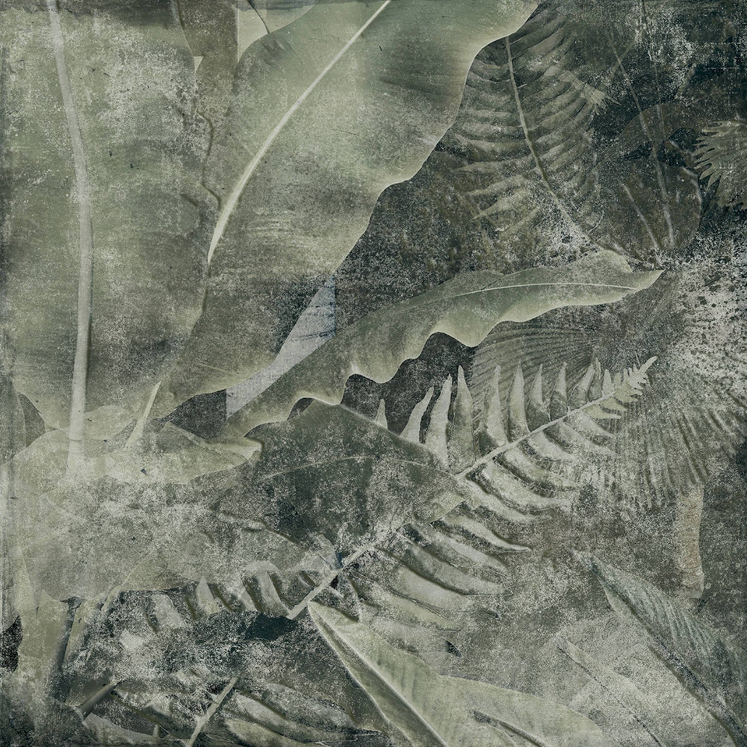 AMAZONIA 25x25 - Slika 3