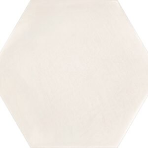 HEXA BOREAL ARENA 23x27