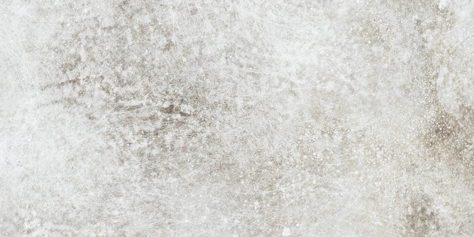 DAFNE GRIS 30x60 - Slika 3