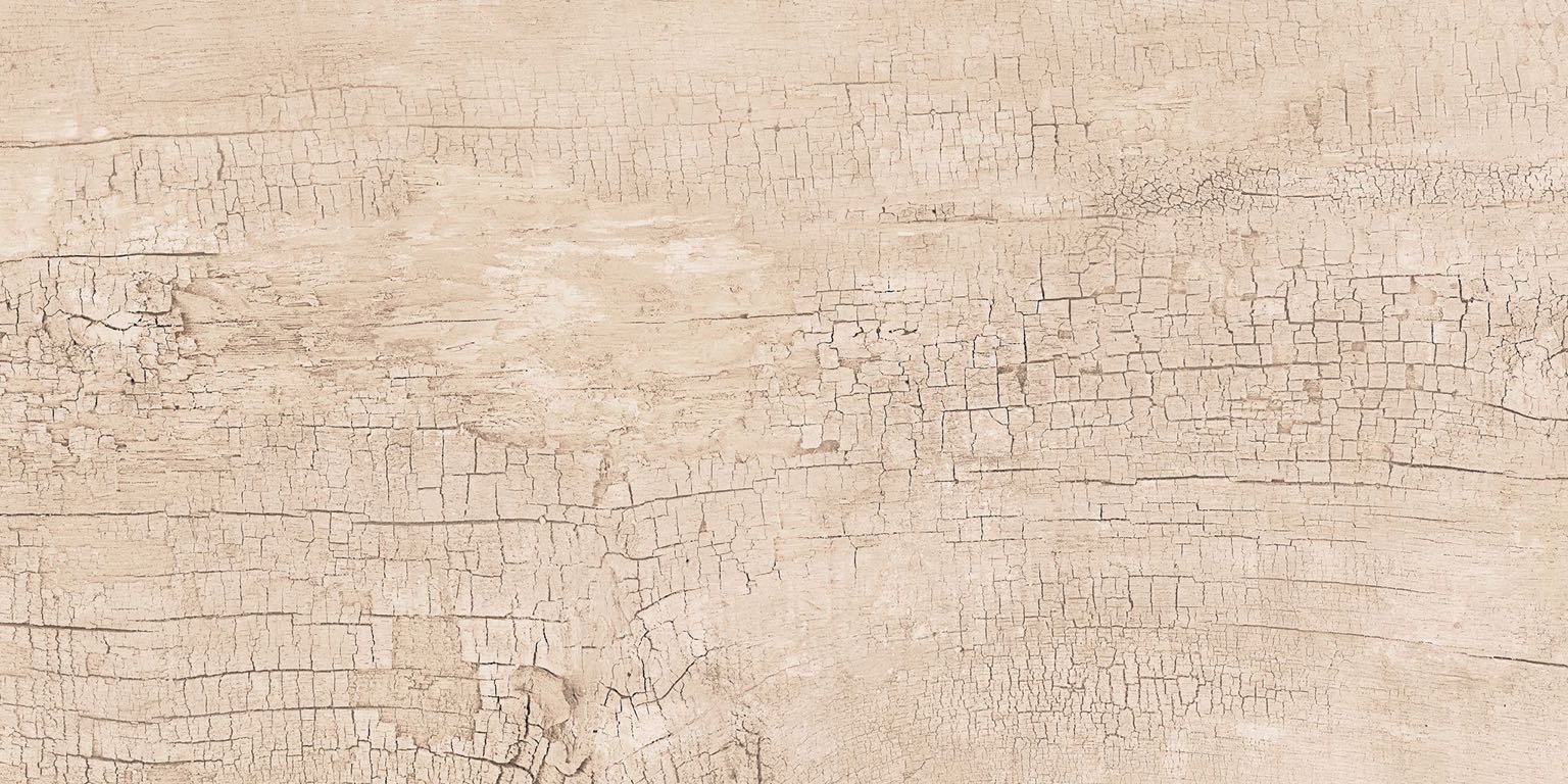 DAKAR BEIGE 30x60 - Slika 4