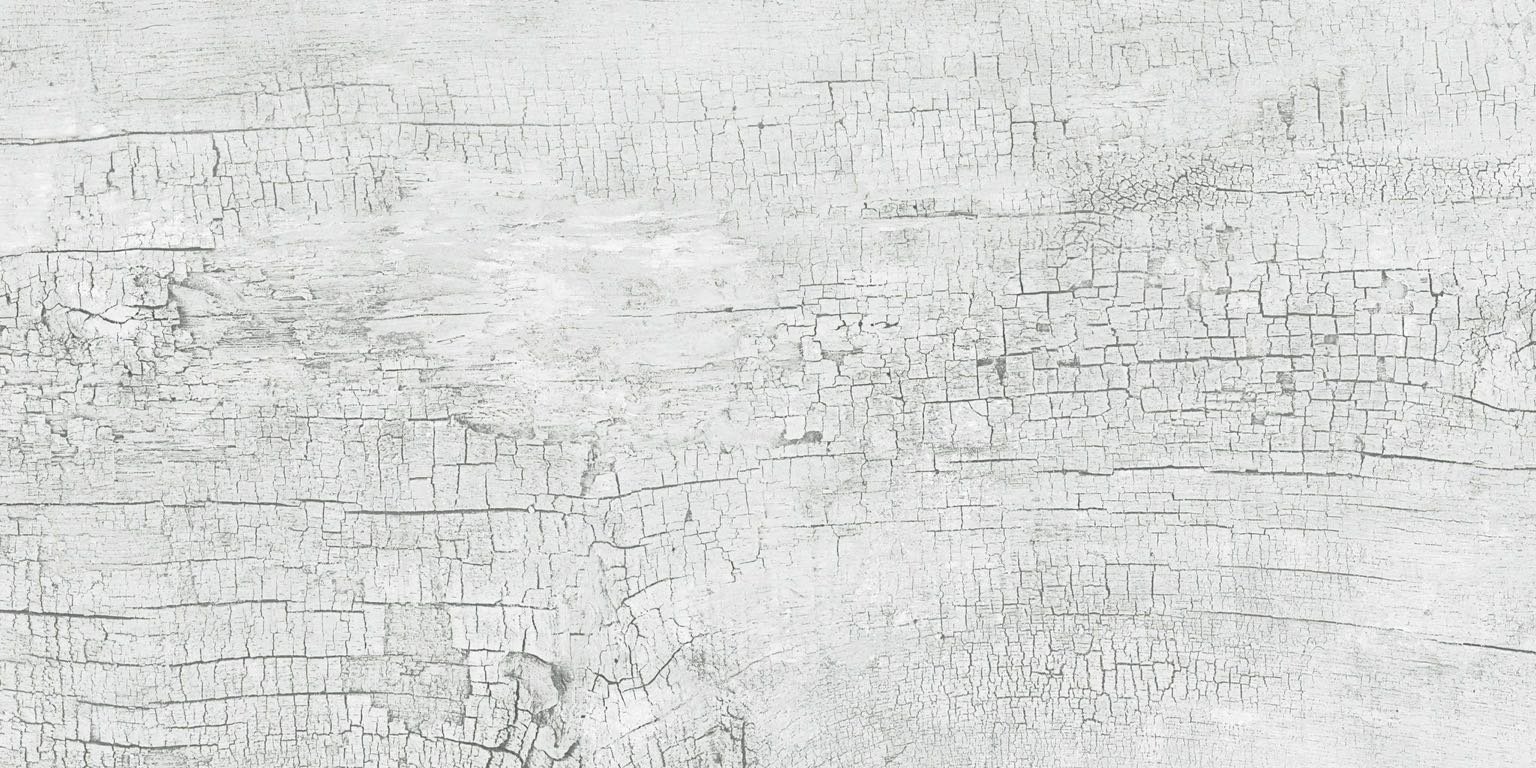 DAKAR WHITE 30x60 - Slika 4