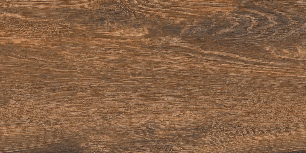 LEGNO CUERO 30x60 - Slika 2