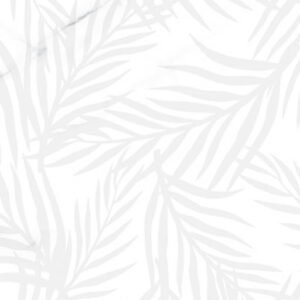 LIVORNO KENTIA GRIS 30x90